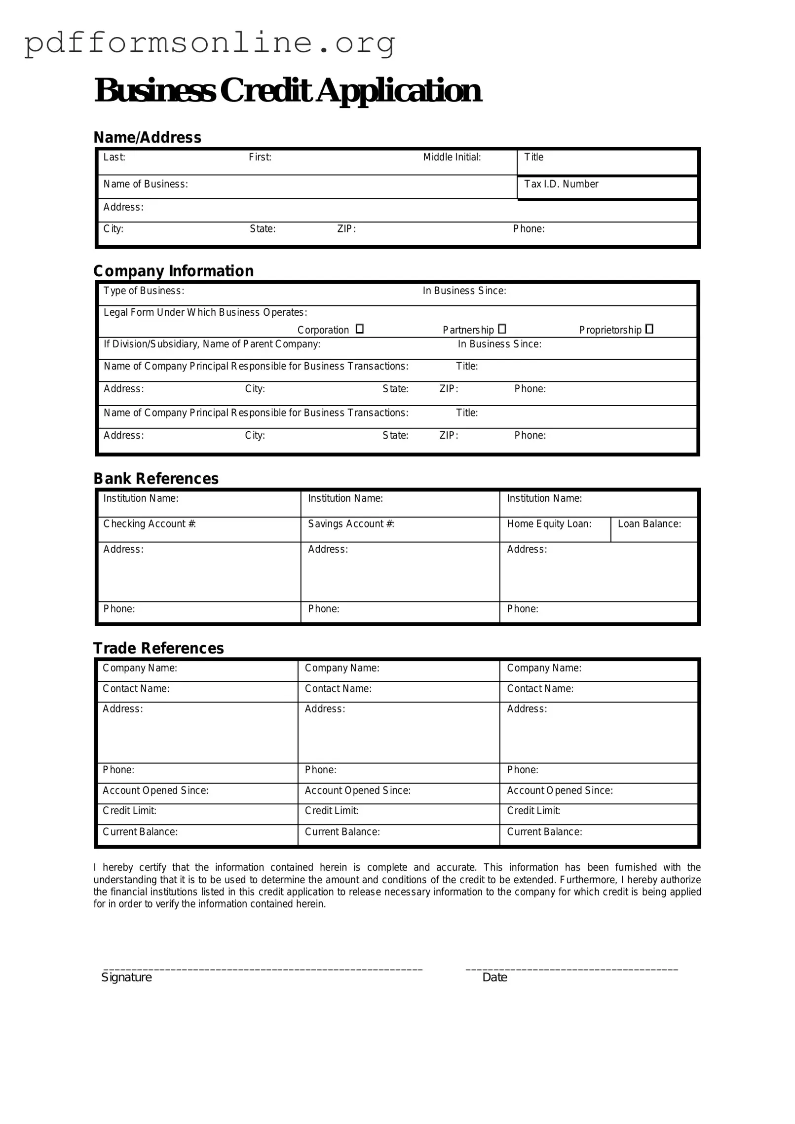 Business Credit Application Template