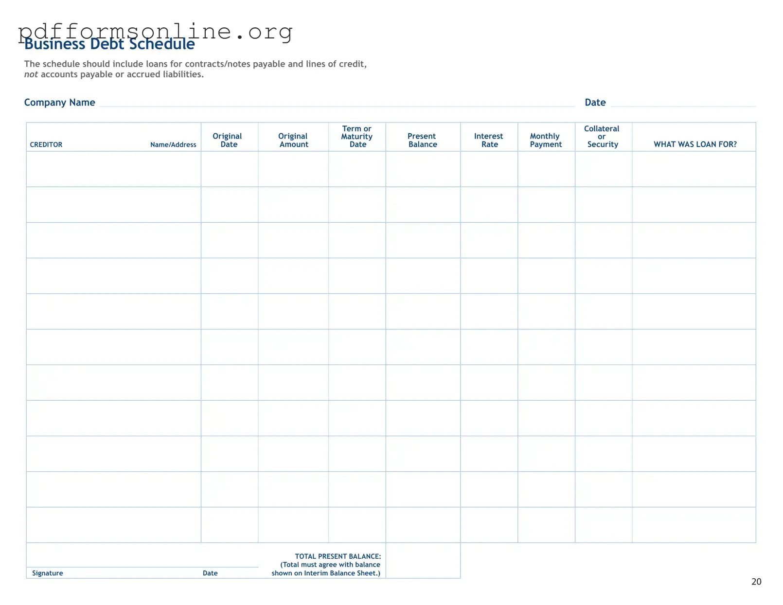 Business Debt Schedule Template