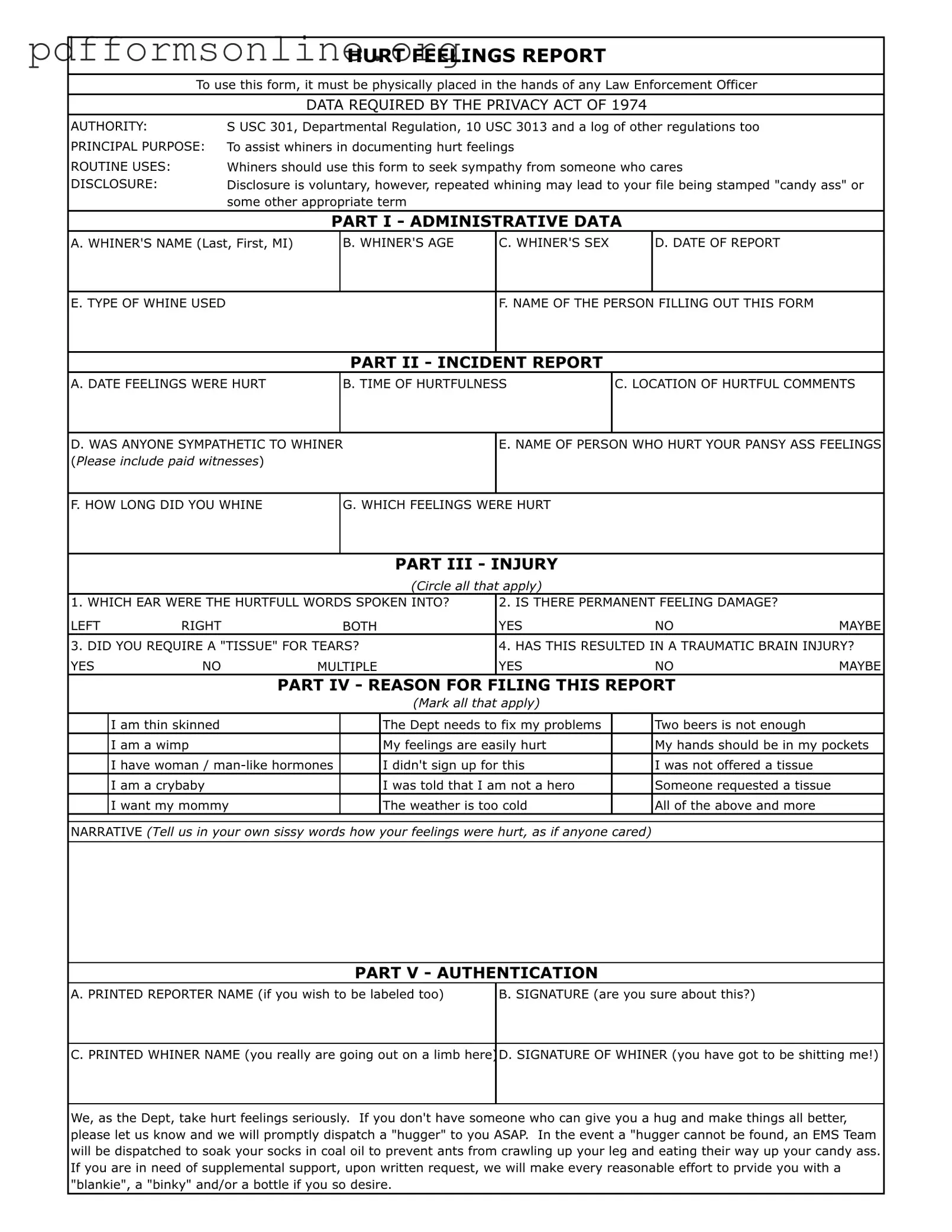 Hurt Feelings Report Template