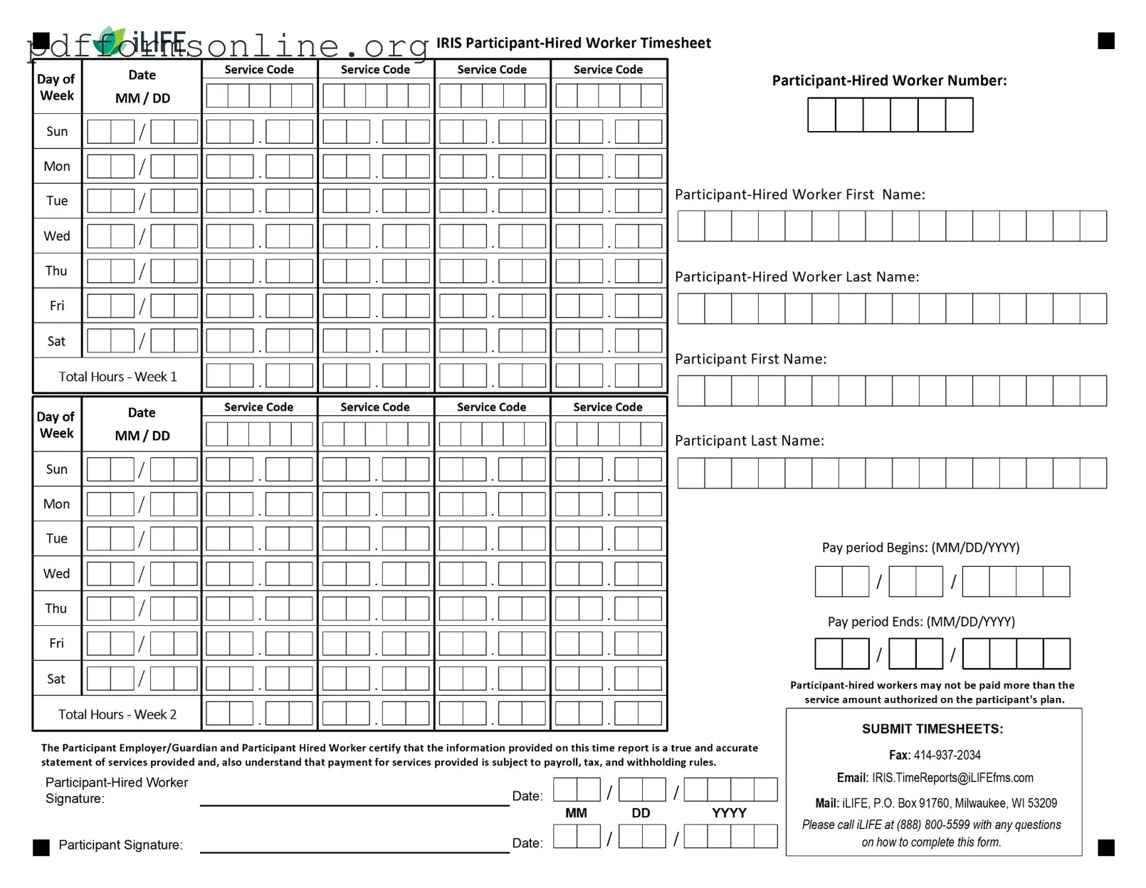 Iris Worker Timesheet Template