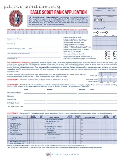 Eagle scout rank application Template