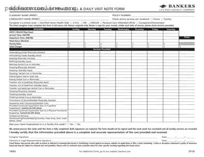 Caregiver Daily Log Template