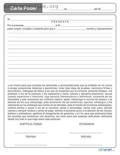 Carta Poder Template