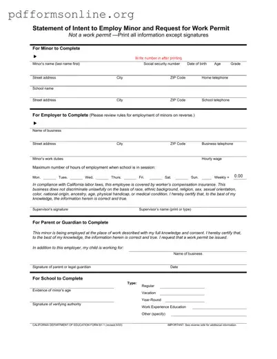 Statement of Intent to Employ Minor and Request for Work Permit Template