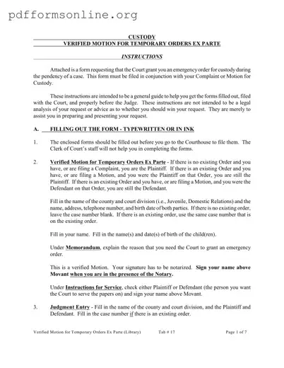 Ex Parte Temporary Custody Order Ohio Template