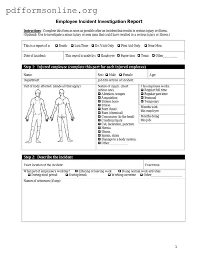 Employee Accident Report Template