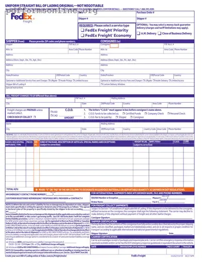 Fedex Bill Of Lading Template