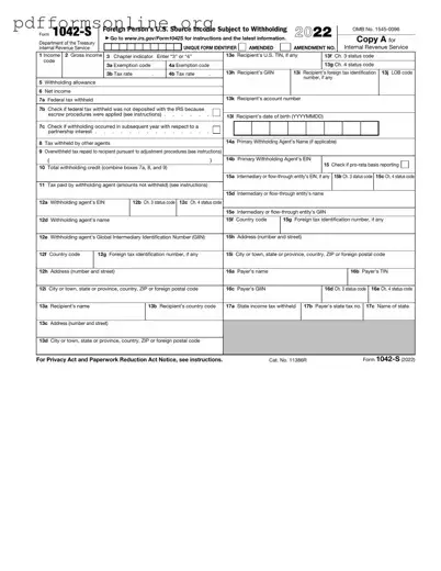 IRS 1042-S Template
