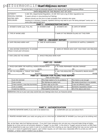 Hurt Feelings Report Template