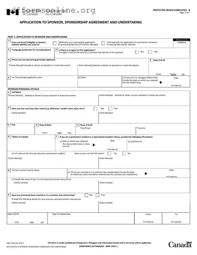 Imm 1344 Application Template