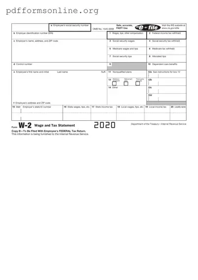 IRS W-2 Template
