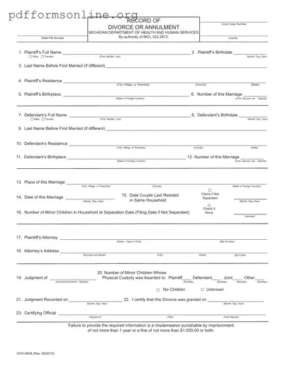 Michigan Dch 0838 Template