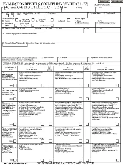 Navy Evaluation Template