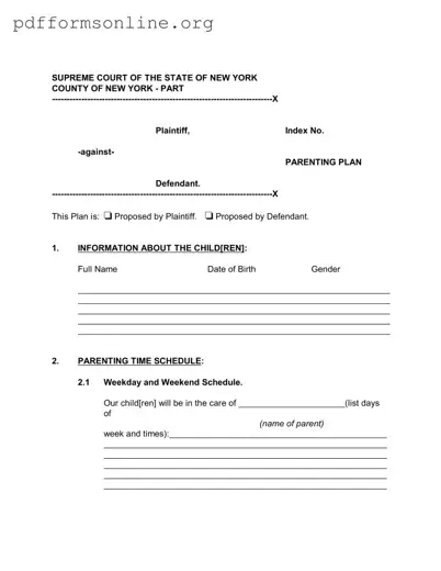 New York Parenting Plan Template