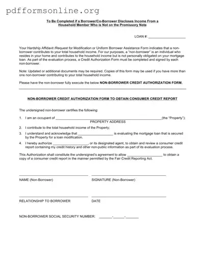 Non Borrower Credit Authorization Template