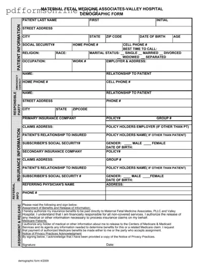 Patient Demographics Template