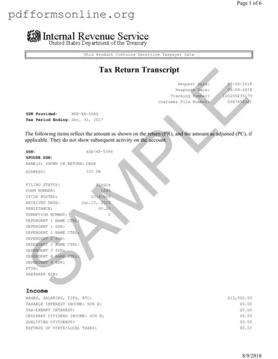 Sample Tax Return Transcript Template