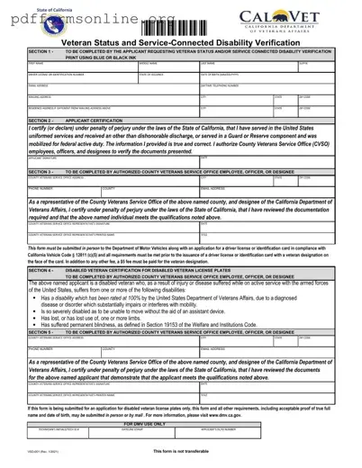 Vsd 001 Template